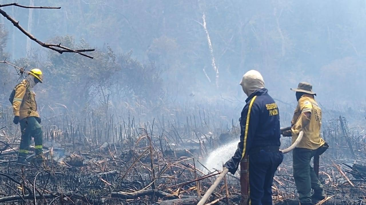 El Parque Isla Salamanca vuelve a arder: segundo incendio en una semana consume hectáreas de la reserva natural y afecta el aire de Barranquilla
