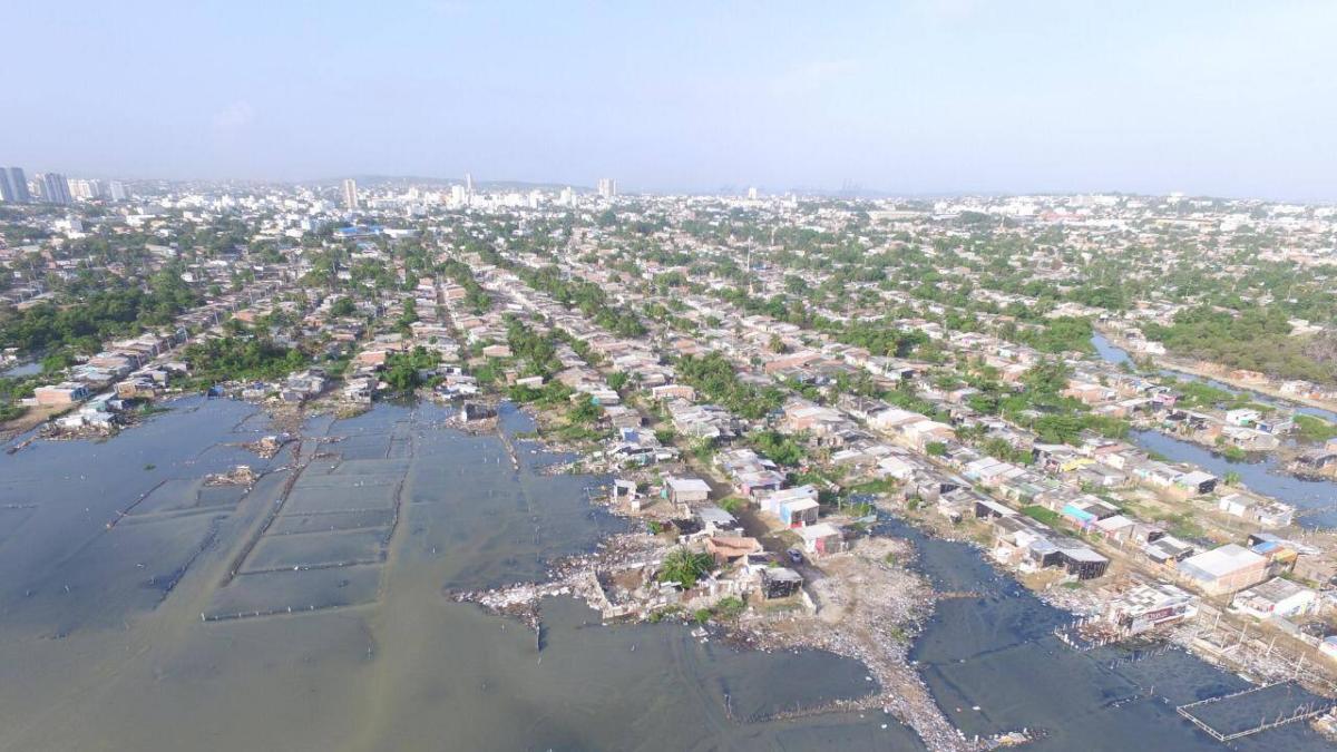 La Ciénaga de la Virgen, el ecosistema de Cartagena que agoniza entre rellenos ilegales, invasiones y la inacción estatal