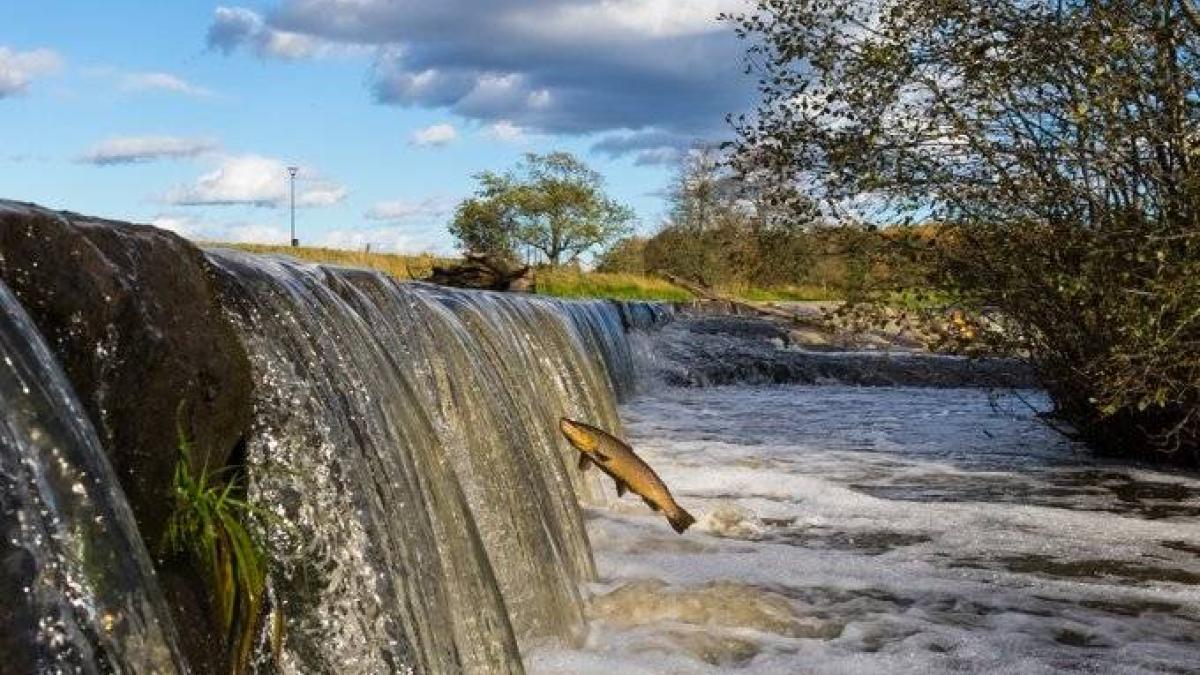El agotamiento de las reservas de agua dulce es un 33 % más grave de lo estimado