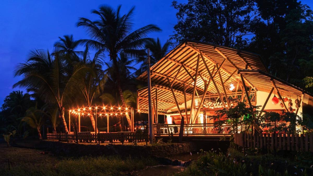 Colombianos prefieren viajar con mascotas y espacios con jacuzzi