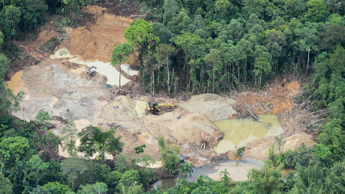 Minería ilegal: El 59 % de este flagelo se desarrolla en zonas protegidas