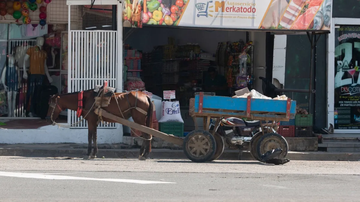 Corte Constitucional eliminó la excepción que permitía usar animales en vehículos de tracción para actividades turísticas