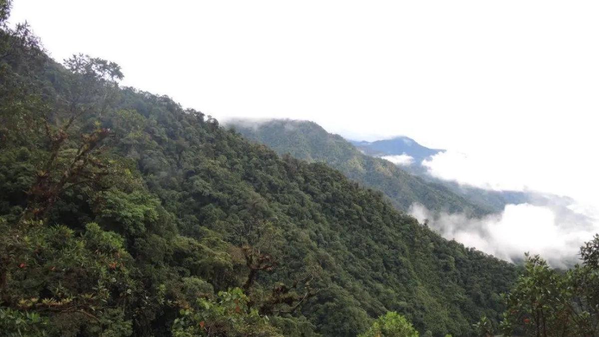 Estudio del Servicio Geológico alerta por riesgo potencial de contaminación asociado al depósito de cobre y molibdeno de Mocoa