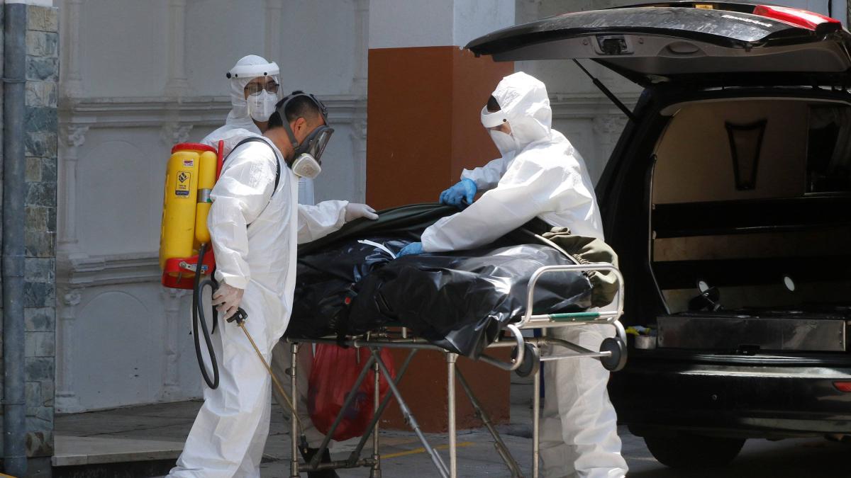 La OMS rectifica el dato de muertes por la pandemia de covid-19: 22,1 ...