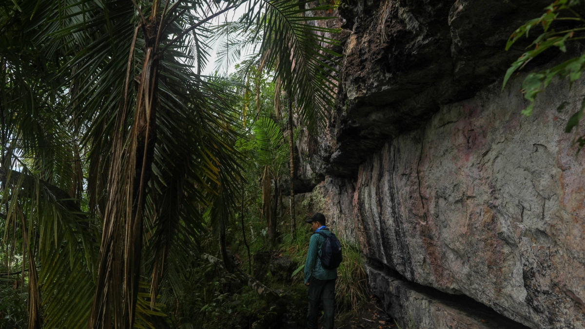 ‘Nos sentimos como presas, acorralados’: así viven los líderes ambientales en Colombia, el país más peligroso del mundo para defender la naturaleza