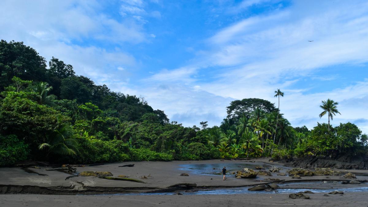 Nuquí: consejos para visitar el municipio de Chocó y ver ballenas jorobadas