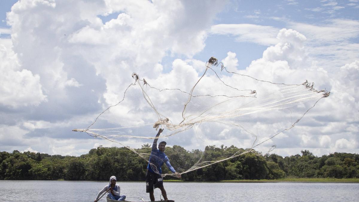 Abandono total en Malecón del Río de Barrancabermeja, cocineras están solas: fallo dice que Alcaldía de Alfonso Eljach violó derechos fundamentales