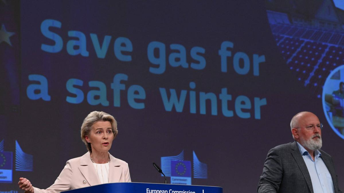 Unión Europea acuerda plan para reducir su consumo de gas