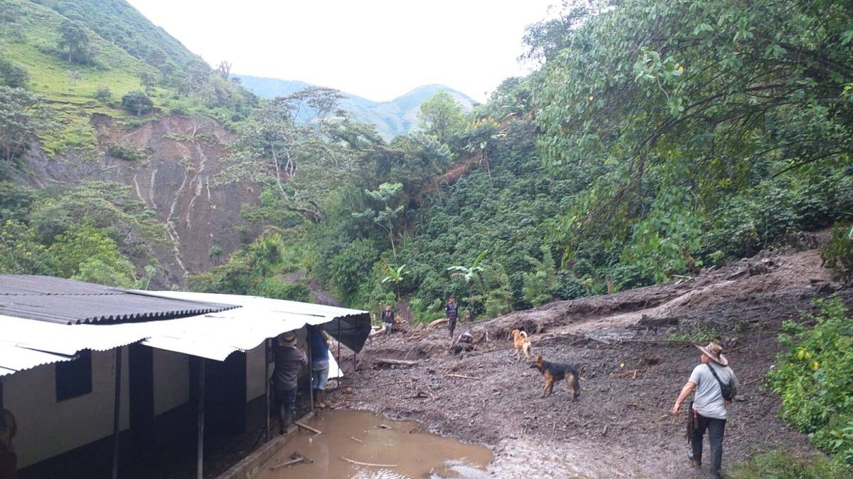 Tragedia por lluvias en Antioquia: en 2025 se han reportado 292 movimientos en masa, los cuales han dejado 39 muertos