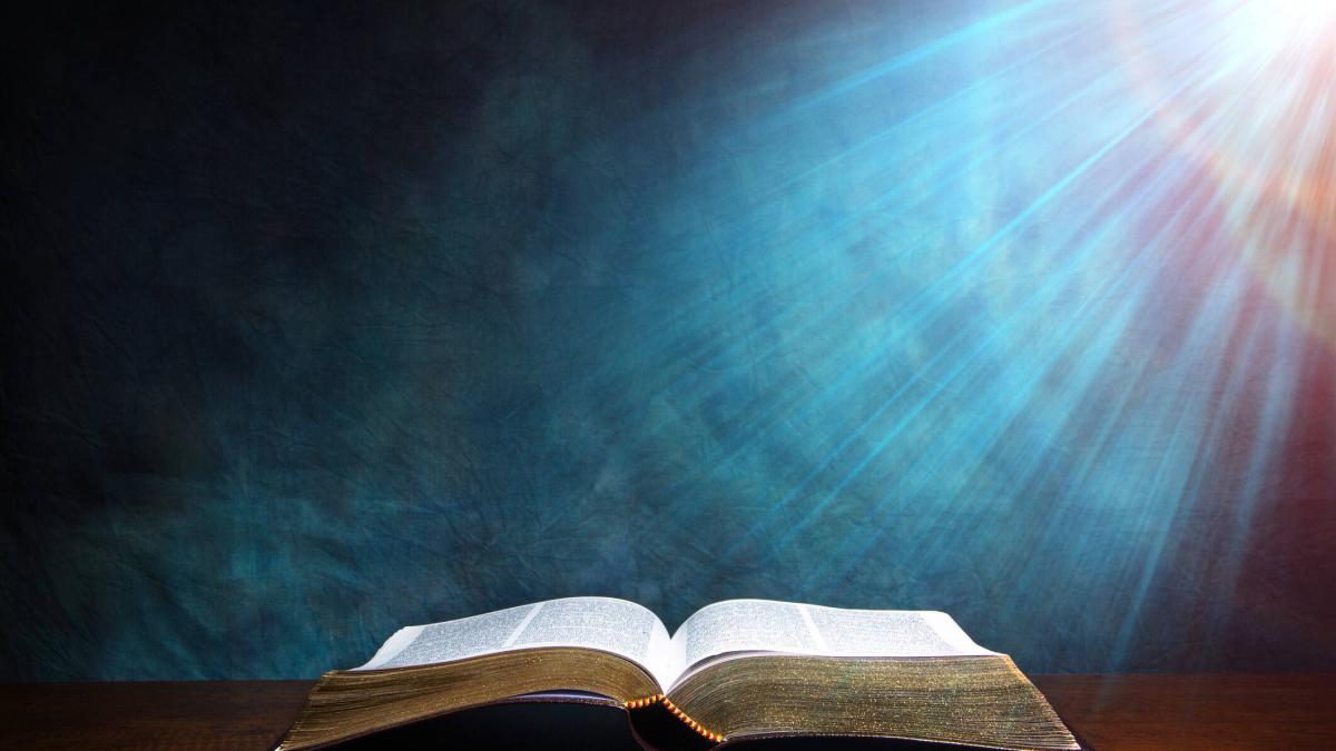 Under His Wings: the Catholic Text and Meaning of Psalm 91 Decoded