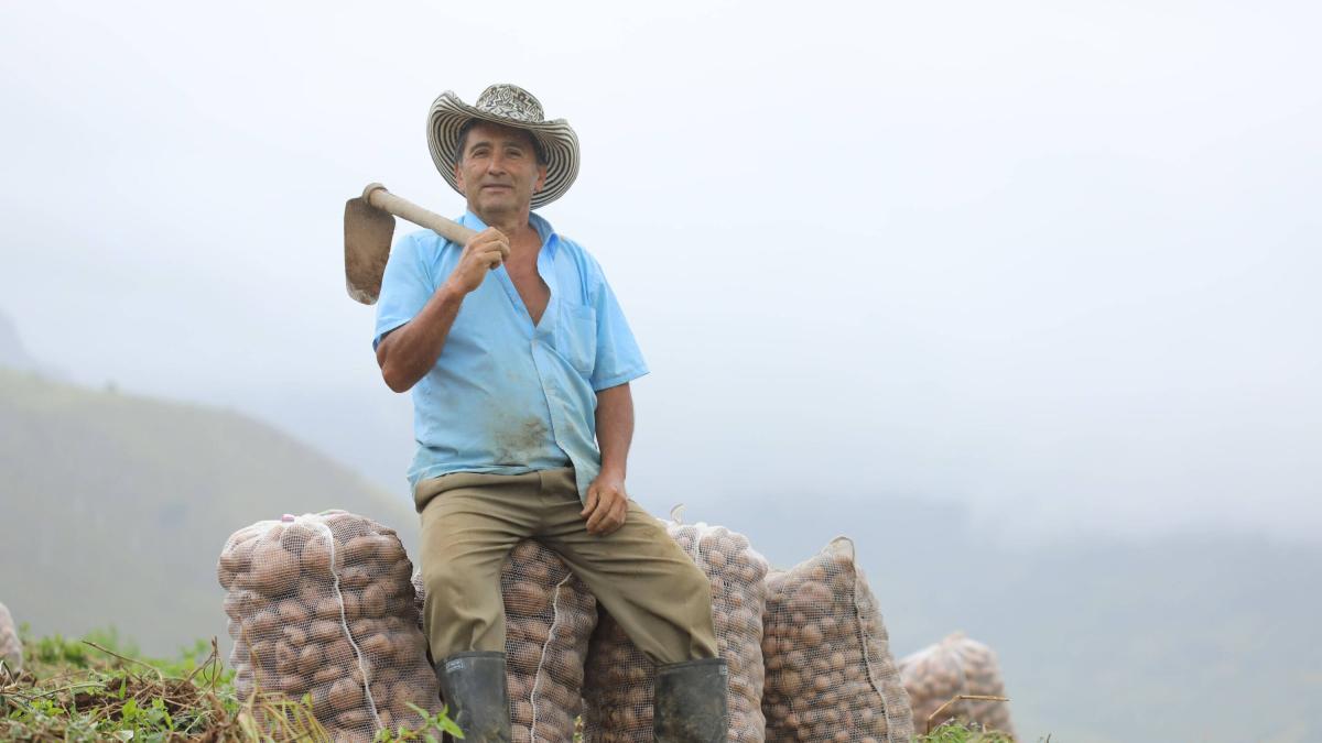 Bancolombia invertirá 60 billones de pesos en el campo colombiano