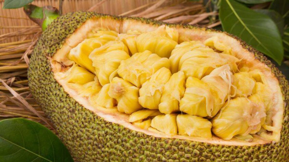 Yaca: beneficios de la fruta