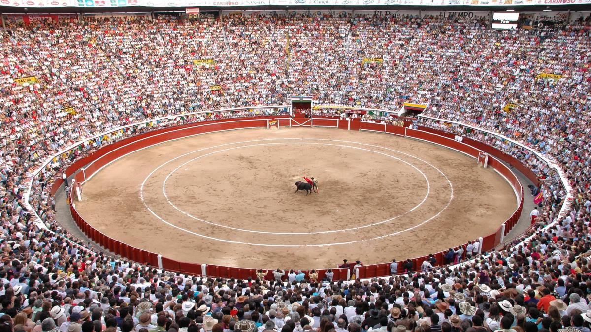 ¿Temporada taurina en Cali, con los días contados?: dudas por la aplicación de la ley 'No más olé' durante la 'fiesta brava' de fin de año