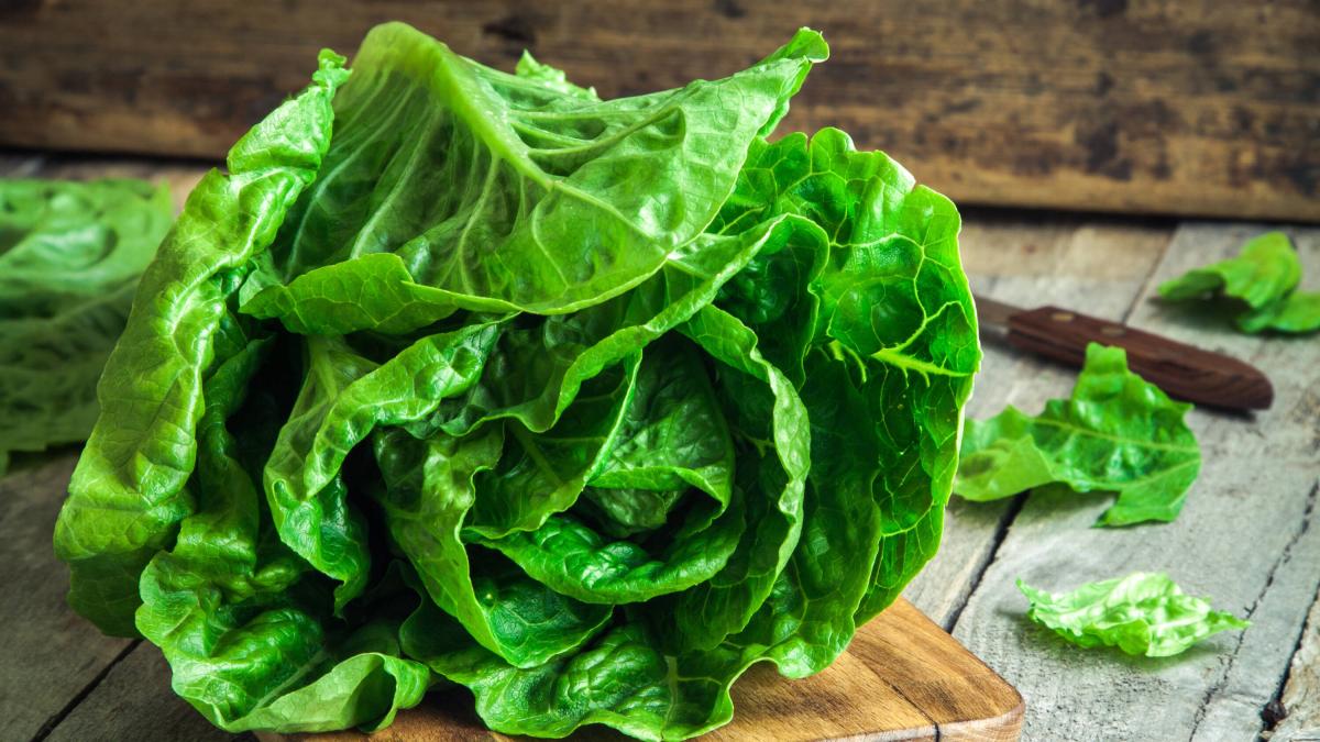 ¿Cómo guardar la lechuga para que permanezca fresca y crujiente durante varios días?