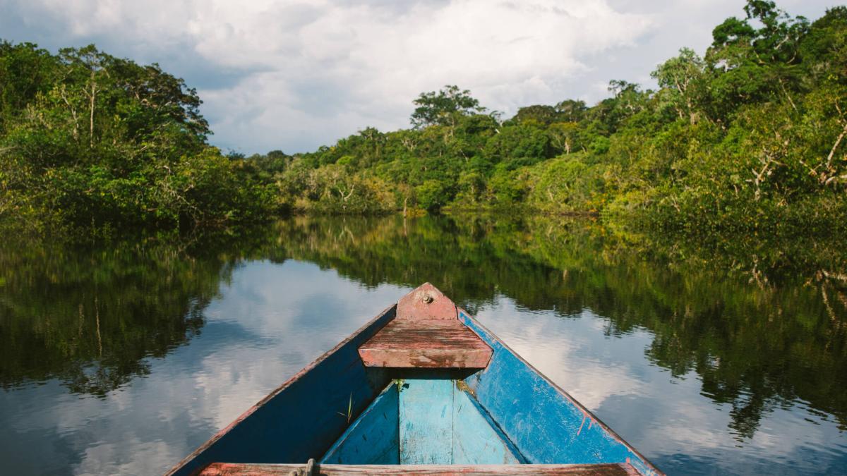 MinAmbiente revoca resolución que declaró el bioma amazónico como reserva definitiva por falta de consulta previa