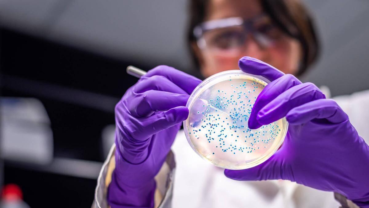Descubren Debilidad en Bacteria Peligrosa: Avance Contra Pseudomonas