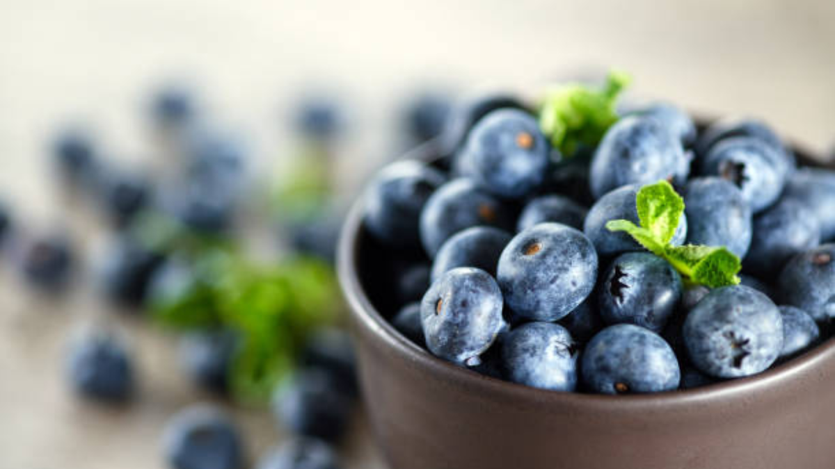 Arándanos colombianos buscan conquistar Brasil, China y México: hectáreas cultivadas crecerán 20 % en 2026