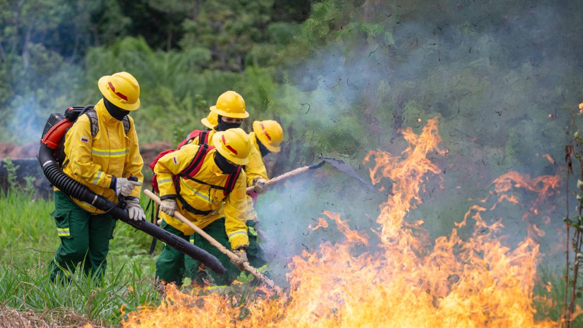 Foto: Alerta en Colombia: incendios consumen 65.000 hectáreas de bosques en Tolima/Cortesía
