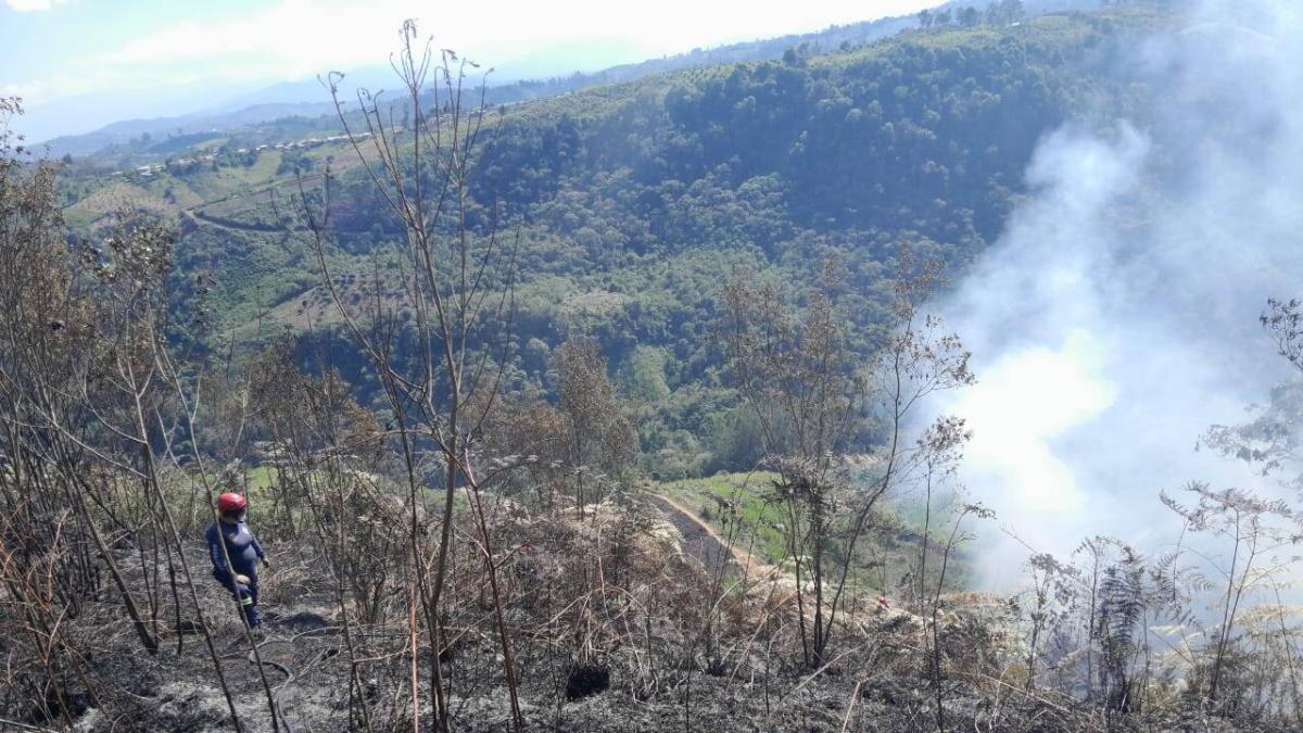 Más de 300 municipios están en alerta por amenaza de incendios: estos son los departamentos con mayor riesgo
