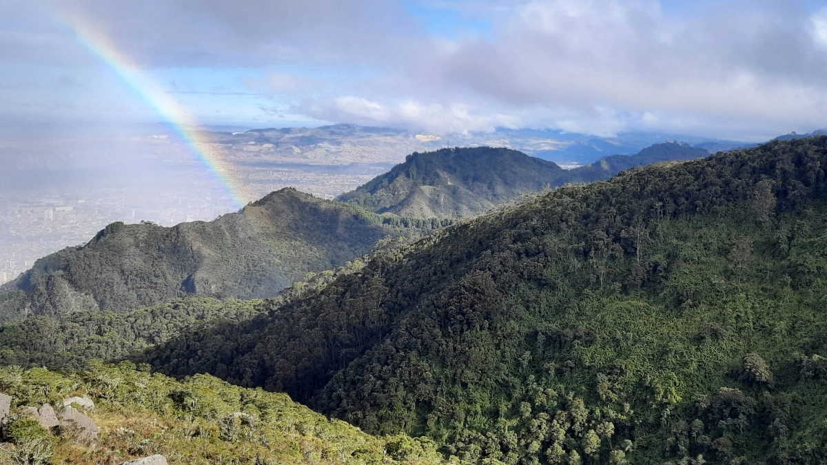 LiveHappy, la organización colombiana que busca convertir el turismo de naturaleza en una herramienta de conservación