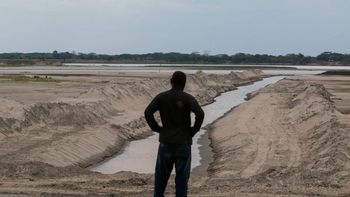 El Caribe pide auxilio por la fuerte sequía: campesinos alertan pérdidas de cultivos, ganado en riesgo y problemas de agua en varios departamentos