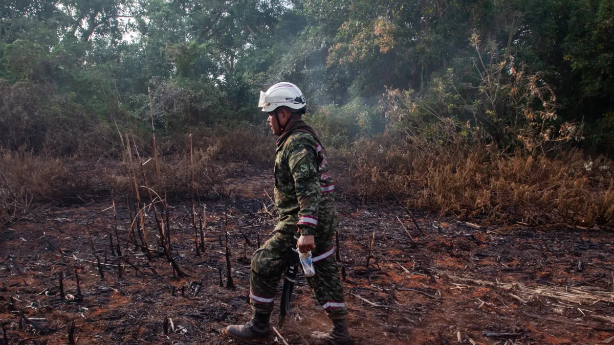 El fuego de Salamanca: lo que hay detrás de los incendios que consumen a esta importante reserva natural del Caribe y llena de humo a Barranquilla