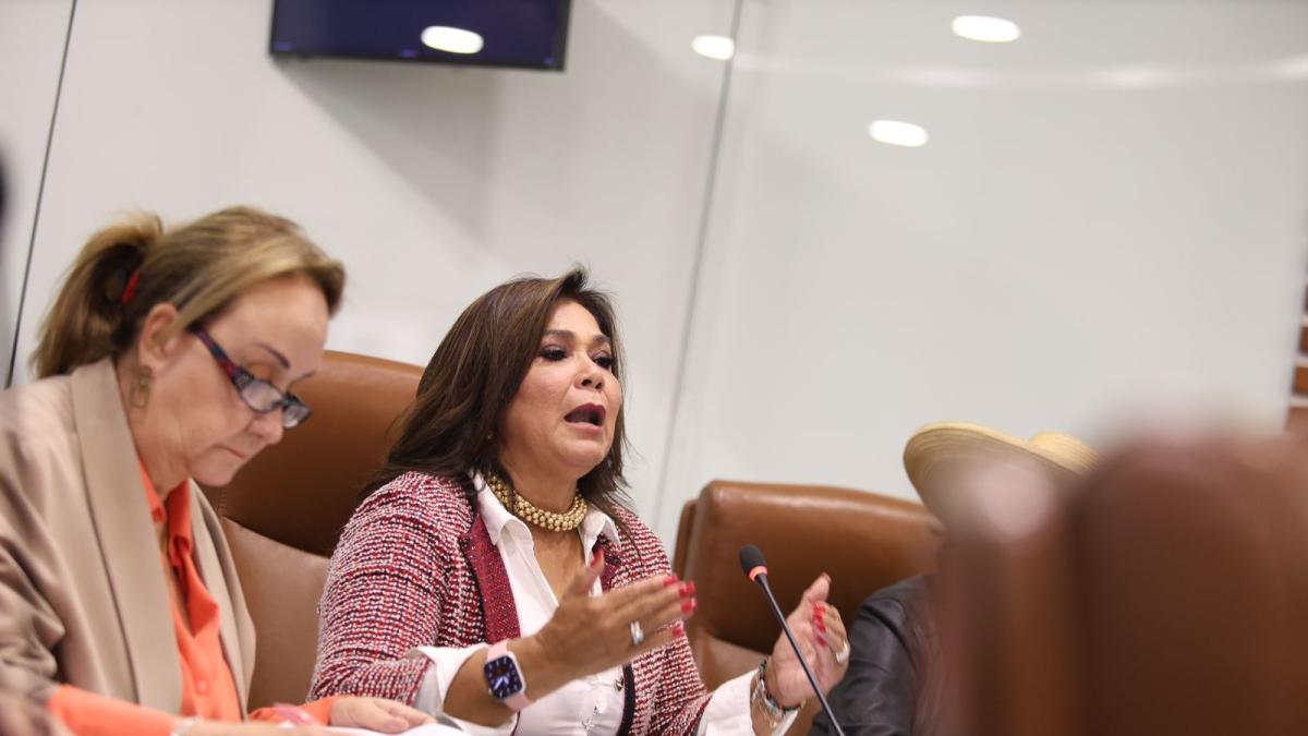 Partido Liberal salió en defensa de la representante Elizabeth Jay-Pang tras choque con el presidente Abelardo De La Espriella