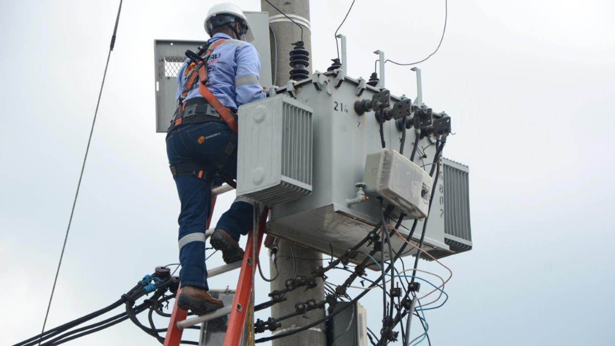 Hurto de cableado, dolor de cabeza de las Empresas Municipales de Cali: cuatro personas fueron sorprendidas robando cable a plena luz del día