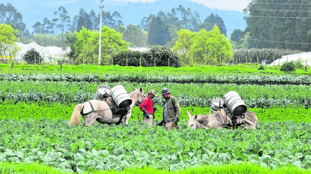 Congreso debate proyecto de Jurisdicción Agraria ante riesgo de hundimiento por falta de acuerdos