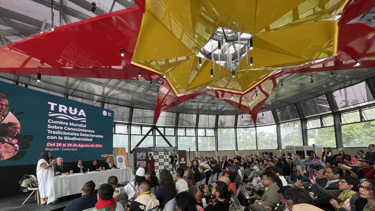 Líderes indígenas definieron posición para la cop16 en 2024