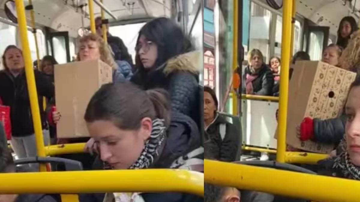 Mujer subió a un autobús con su perrito y los demás pasajeros los ...