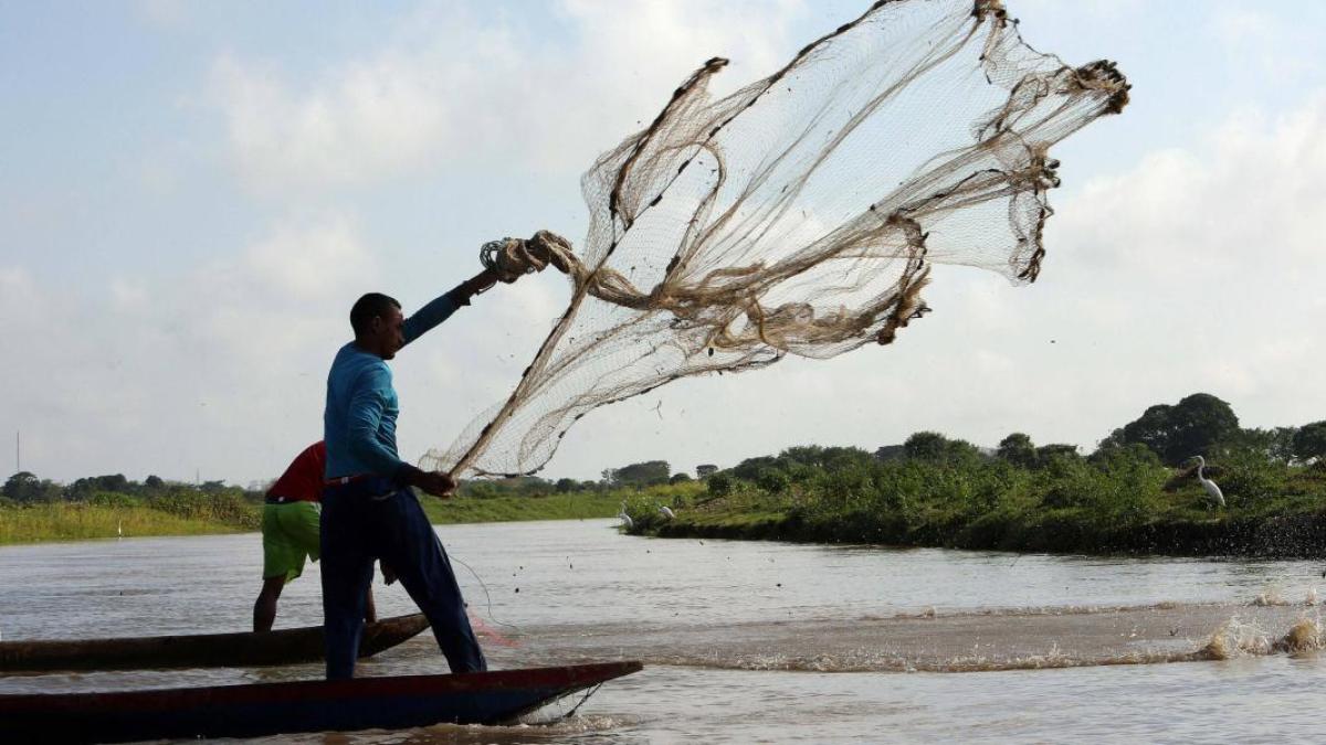 Sequía y calor ahuyentan los peces en el Atlántico: pescadores de la laguna de Luruaco pasan hasta 13 horas en el agua para sacar dos kilos de pescado