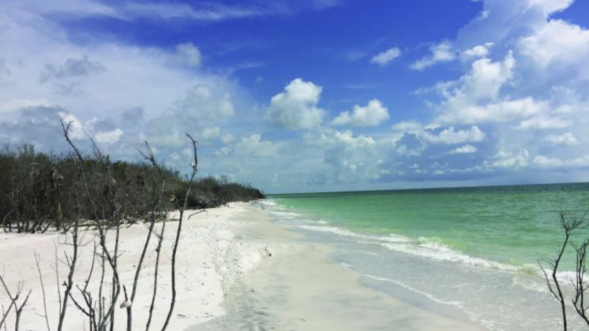 El lugar de Florida con la arena más blanca y playa tranquila que no ...