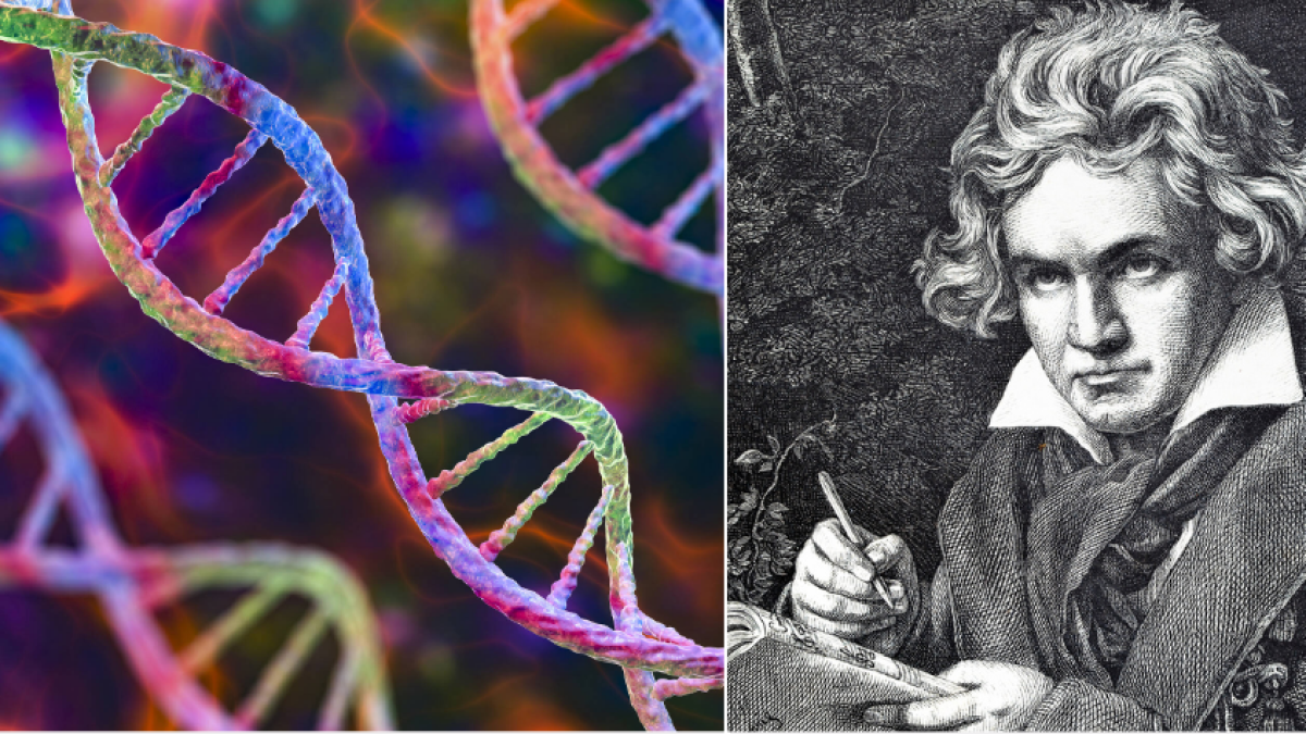 El ADN del cabello de Beethoven revela aspectos inéditos sobre su salud y su  familia