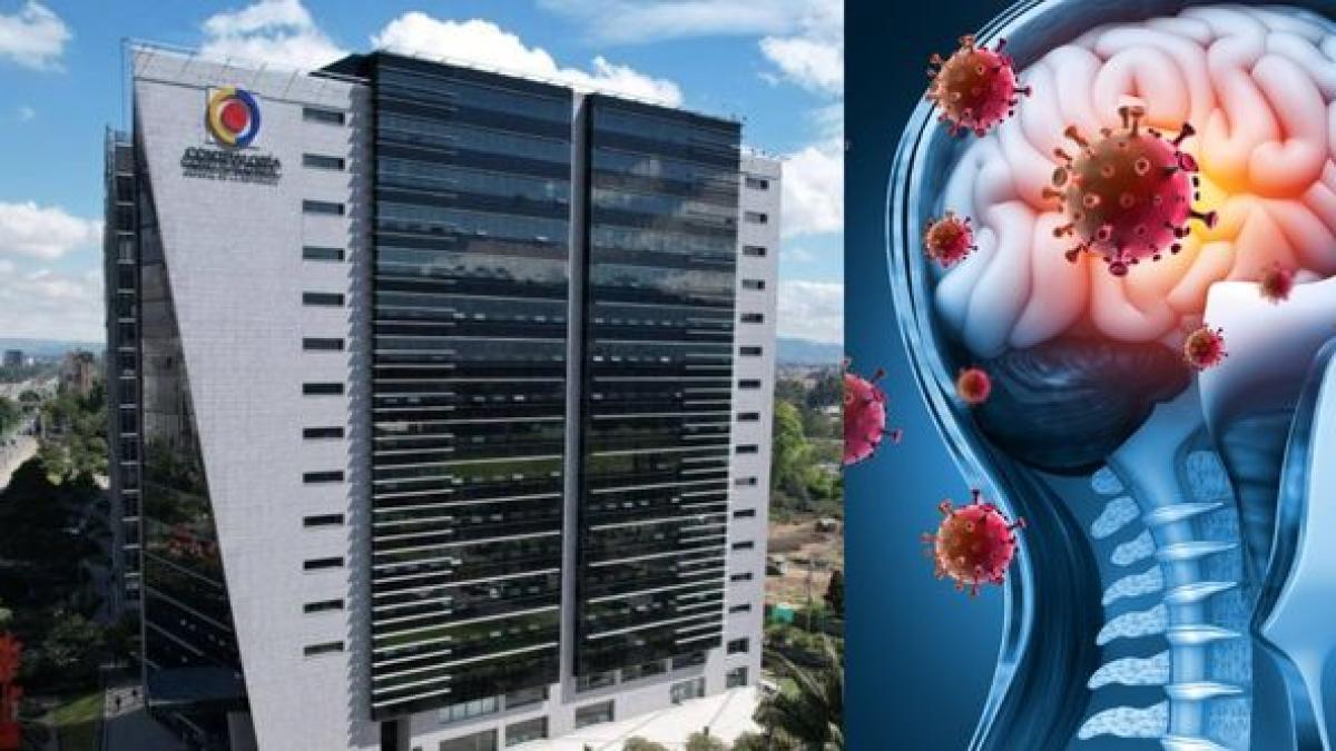 Caso de meningitis en la Contraloría: qué tan contagiosa es la bacteria ...