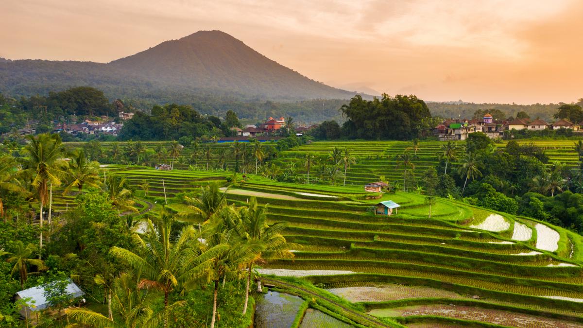 Asia: aldeas tesoros del turismo rural