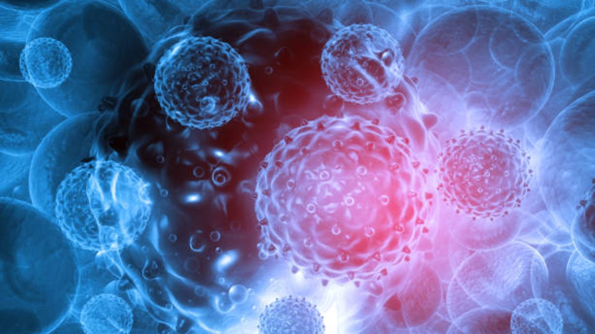 Descubren un virus gigante que podría ayudar a explicar cómo surgió la vida compleja en la Tierra