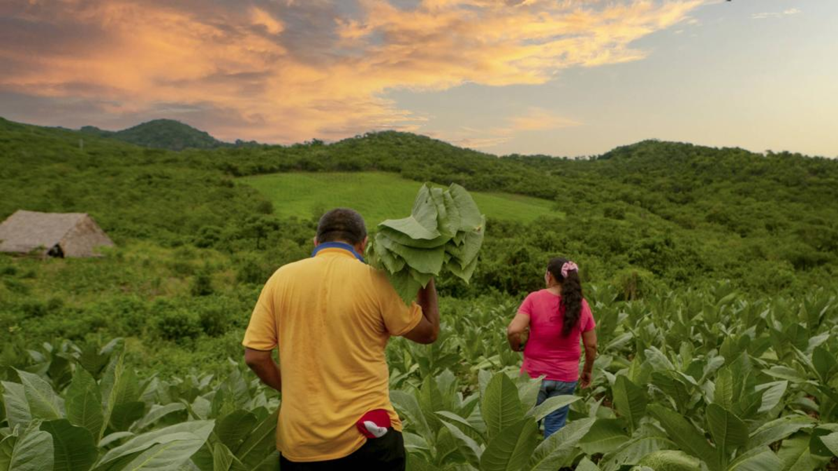 On beş yıl içinde yalnızca %15 ilerleme kaydedilebilir