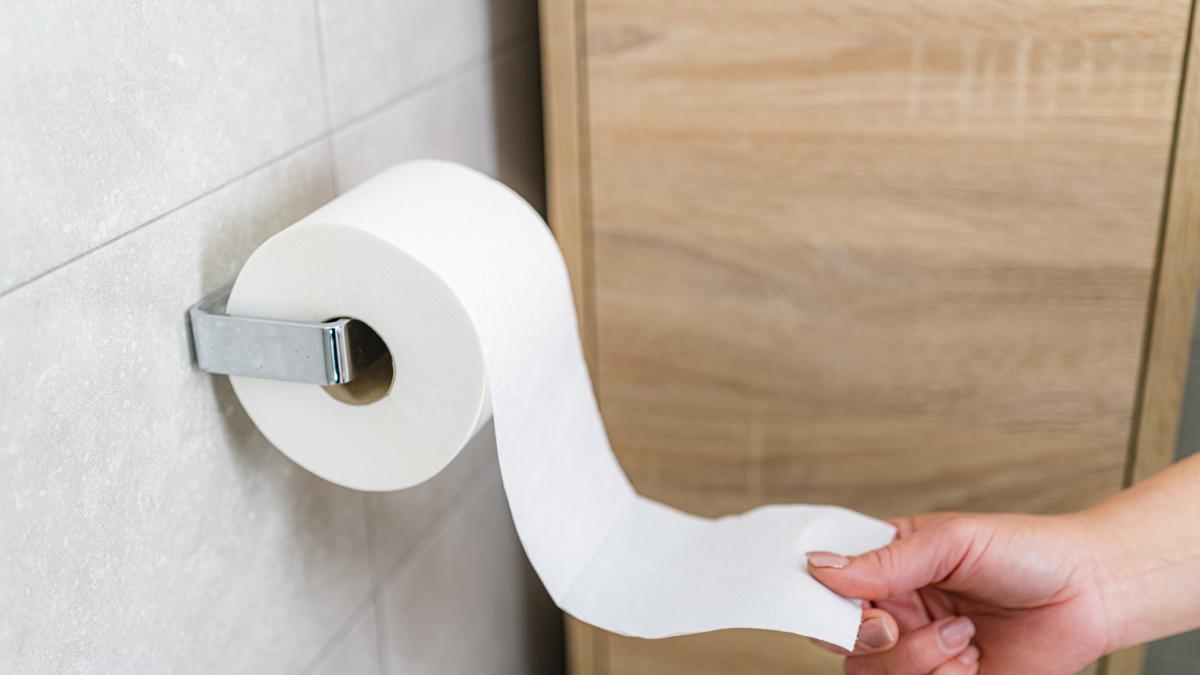¿Cómo eliminar a los mosquitos de la casa solo con papel higiénico?