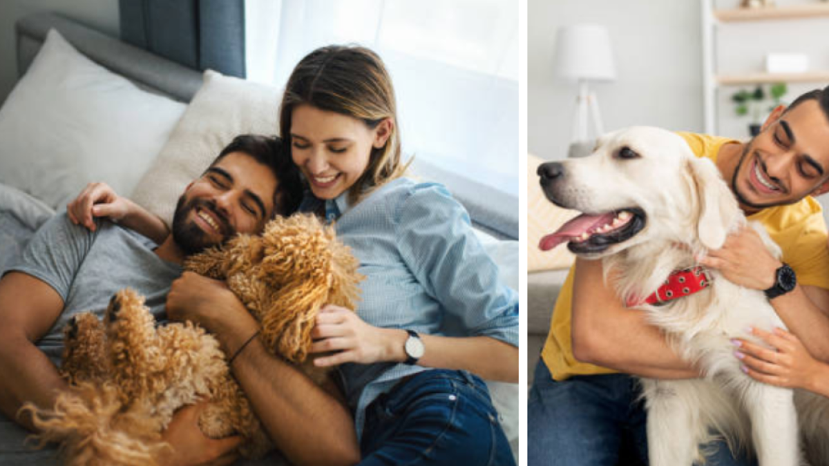 Ley confirma que las personas con mascotas que no tengan este documento podrán ser multadas