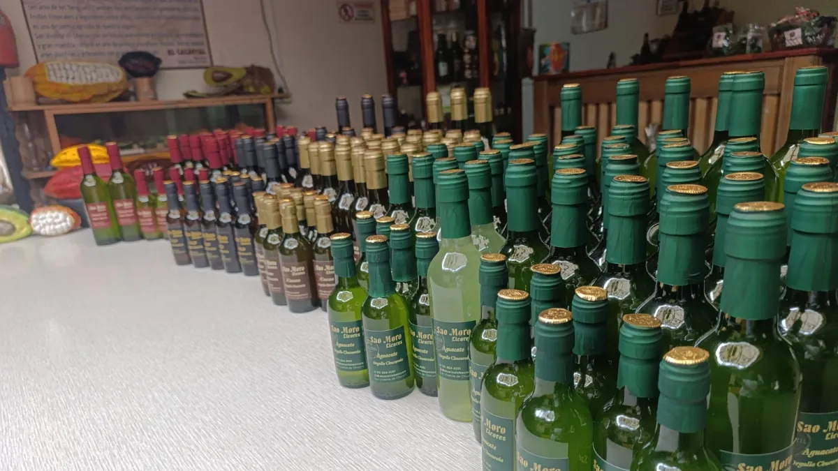 Crearon el vino de hormiga culona y estará expuesto en la 'Feria Bonita' de Bucaramanga: este es el emprendimiento que varía en sabores de esta bebida