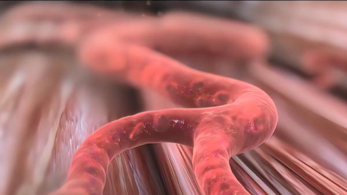 Arranca en Japón tratamientos con células reprogramadas: ¿Qué son y cómo funcionan en la salud?