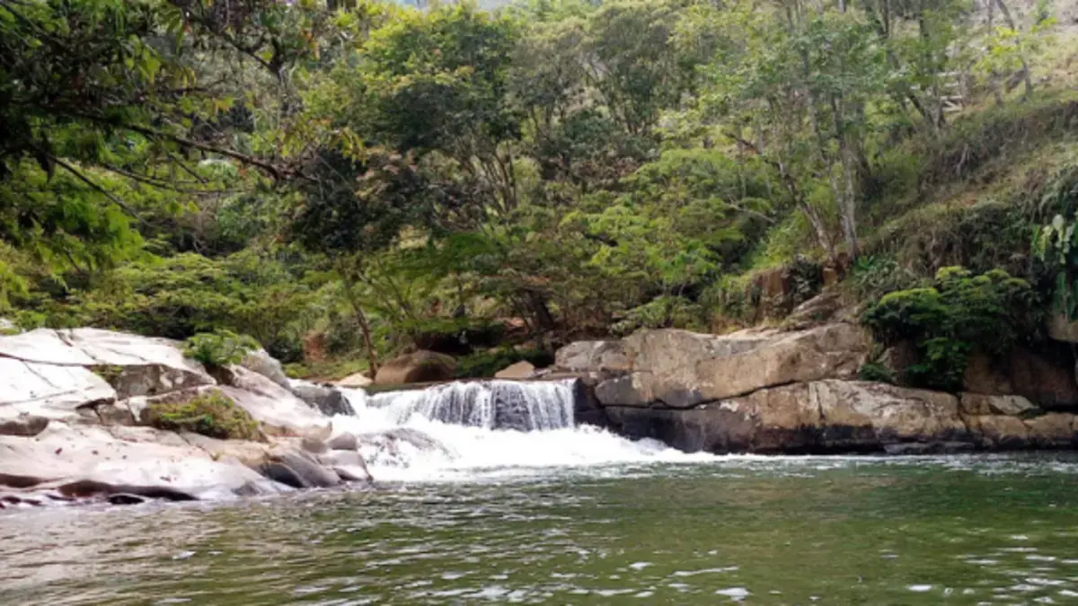 Autoridad ambiental de Antioquia emitió alerta por la presencia de mercurio en ríos de San Carlos: incremento de la minería ilegal, entre las causas