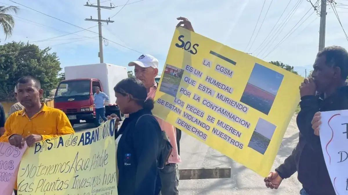 Magdalena | Nueva Venecia, atrapada entre el agua y la maleza: el pueblo palafito que podría desaparecer