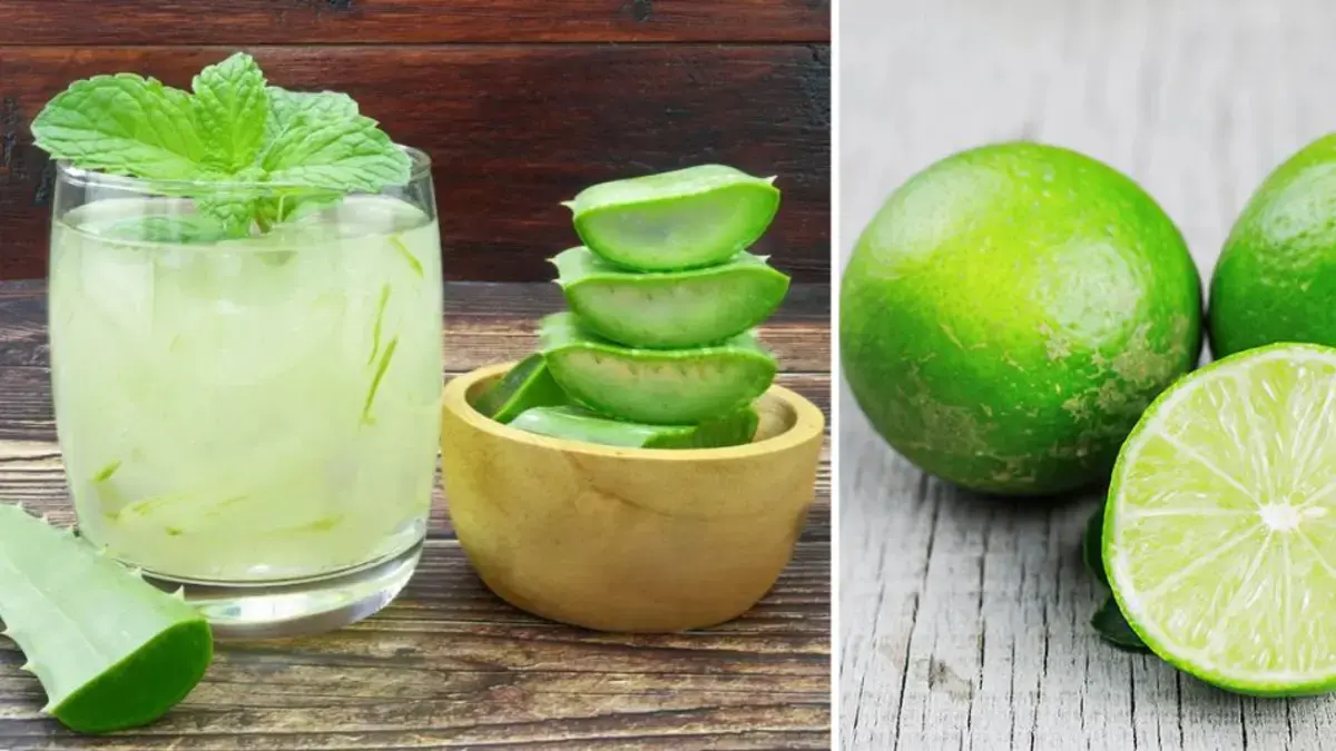 Sábila con limón: beneficios de su consumo diario, mejor hora para tomarlo y receta fácil