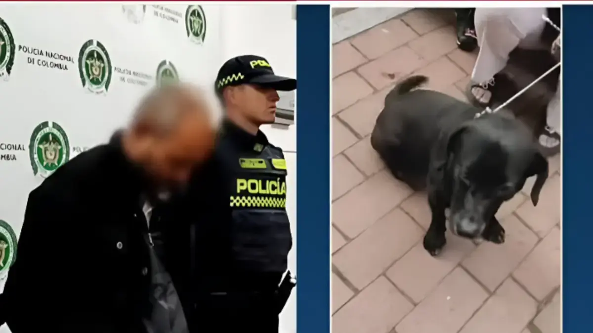 Hombre en Bogotá se robaba a las mascotas de vecinos para cometer aberrantes actos sexuales en contra de los animales: comunidad exige justicia