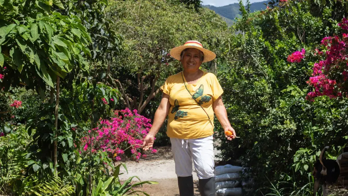 Innovación | La sabiduría innata de una campesina de Nariño la llevará hasta el lejano Japón, con su experiencia exitosa del 'bosque comestible'