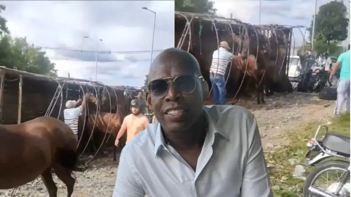 Camión que llevaba caballos del 'Tino' Asprilla se volcó; el exfutbolista reaccionó enojado: 'Se voló, se acabó de ir y me dejó esto aquí'