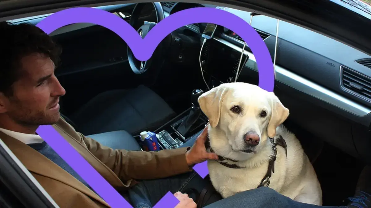 Cabify estrena en Bogotá su categoría de viajes para mascotas: así podrán movilizarse perros y gatos en la capital