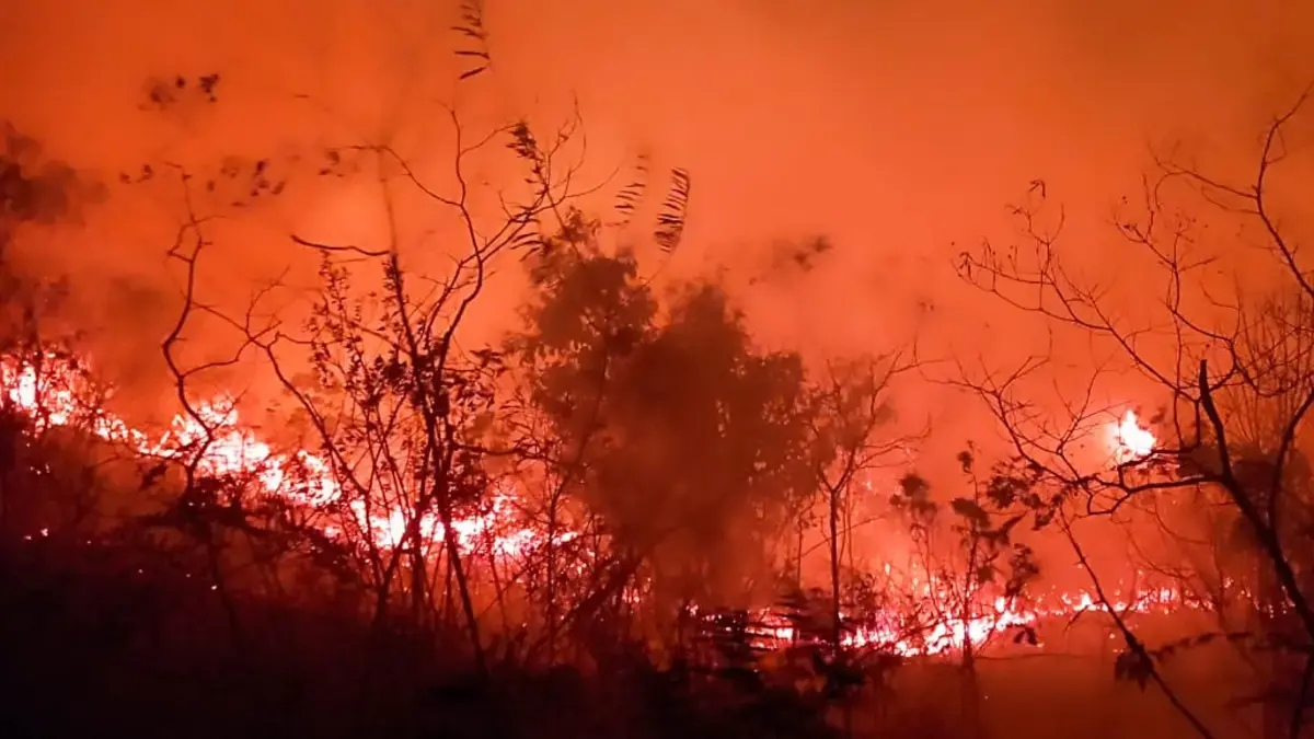 Reportan voraz incendio forestal en Dolores, Tolima; habitantes piden ayuda de los bomberos para sofocar las llamas: 'Hay nacimientos de agua'
